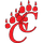 Chatham Central High School logo