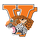 Van Vleck High School logo