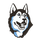 Eau Claire North High School logo