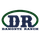 Damonte Ranch High School logo