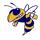 Chapelgate Christian Academy logo