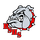 Boiling Springs High School logo