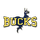 Buckhorn High School logo