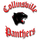 Collinsville High School logo