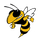 Ithaca High School logo