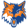 Cedar Ridge High School logo