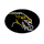 Cameron High School logo