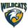 River Falls High School logo