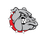 Brandon High School logo