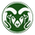 Rio Rancho High School logo
