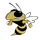TL Hanna High School logo