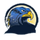 River Hill High School logo