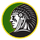 Taconic High School logo
