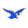 Central High School - Woodstock logo