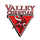 Valley Christian School - Dublin logo