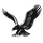 Brandon High School logo
