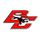 Bacon County High School logo