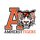 Amherst Senior High School logo