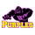Bowling Green High School logo