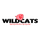 Morrison High School logo