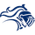 Notre Dame-Fairfield High School logo