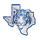 Wills Point High School logo