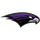 Bloomfield Hills High School logo