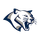 Central Valley High School logo