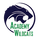 2022 CHSAA Girls Volleyball Regional Multi-team Event logo