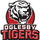 Oglesby High School logo