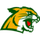 Northwestern Area School District logo