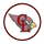 Clear Lake High School logo