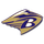 Brantley County High School logo