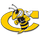Cook High School logo