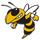 Rockmart High School logo