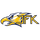 Kennedy High School logo