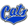 Bell County High School logo