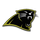 Fleming County High School logo