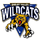 Shelby Valley High School logo