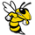 Woodford County High School logo