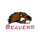 Lakeside High School logo