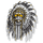 Arapahoe High School logo