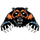 North Stafford High School logo