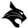 Bluffton High School logo