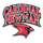 Cardinal Newman logo