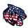 Independence High School - Ashburn logo