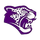 PUC Triumph Charter High School logo