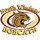 South Windsor High School logo