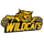 Whitney High School - Cerritos logo
